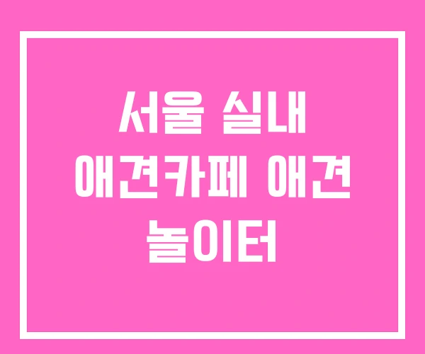 서울 실내 애견카페 애견 놀이터 서울 실내 애견카페 애견 놀이터