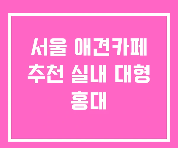서울 애견카페 추천 실내 대형 홍대