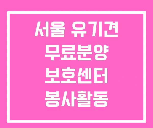 서울 유기견 무료분양 보호센터 봉사활동
