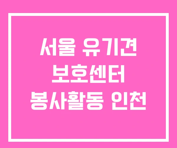 서울 유기견 보호센터 봉사활동 인천 서울 유기견 보호센터 봉사활동 인천