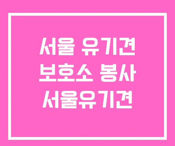 서울 유기견 보호소 봉사 서울유기견