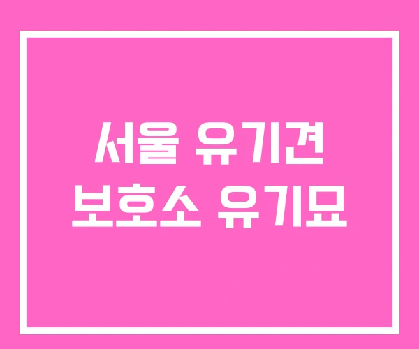 서울 유기견 보호소 유기묘
