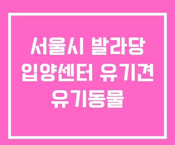 서울시 발라당 입양센터 유기견 유기동물