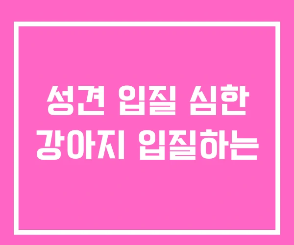 성견 입질 심한 강아지 입질하는