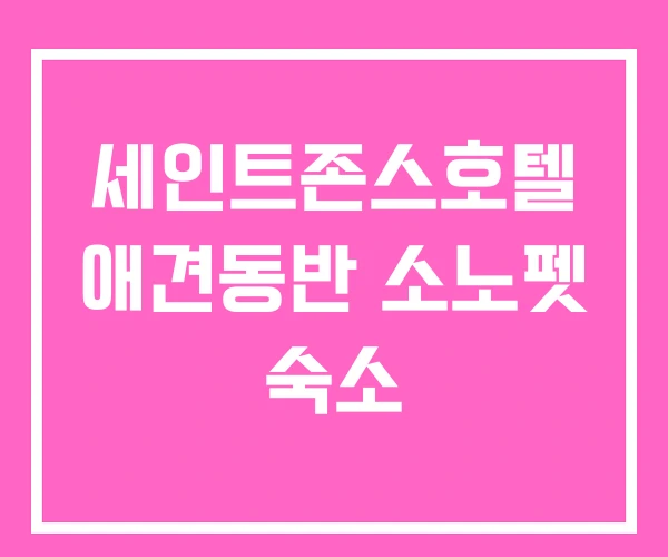 세인트존스호텔 애견동반 소노펫 숙소