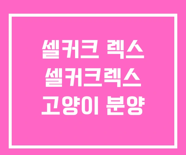 셀커크 렉스 셀커크렉스 고양이 분양 셀커크 렉스 셀커크렉스 고양이 분양