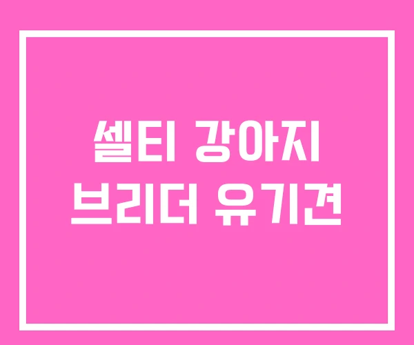 셀티 강아지 브리더 유기견
