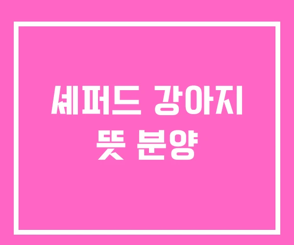 셰퍼드 강아지 뜻 분양 셰퍼드 강아지 뜻 분양