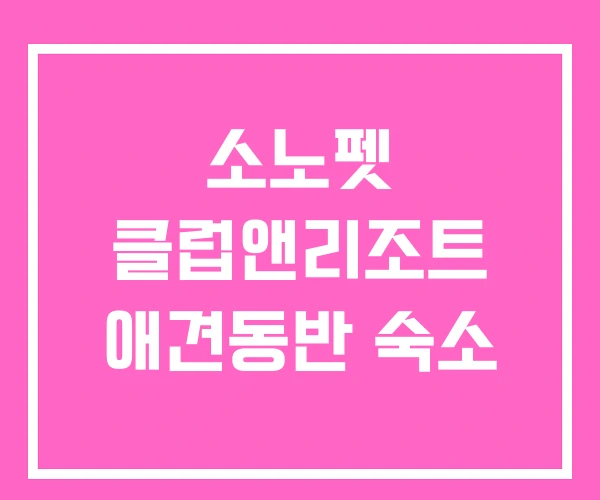 소노펫 클럽앤리조트 애견동반 숙소 소노펫 클럽앤리조트 애견동반 숙소