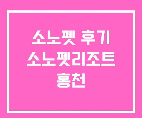소노펫 후기 소노펫리조트 홍천 소노펫 후기 소노펫리조트 홍천