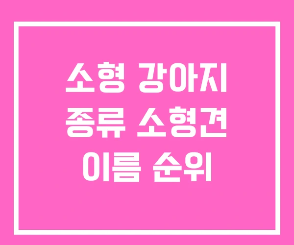 소형 강아지 종류 소형견 이름 순위 소형 강아지 종류 소형견 이름 순위