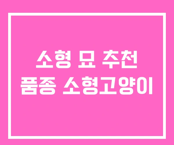 소형 묘 추천 품종 소형고양이