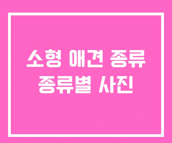 소형 애견 종류 종류별 사진 소형 애견 종류 종류별 사진