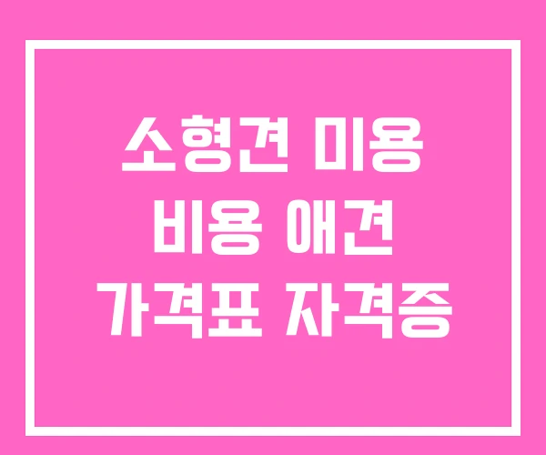 소형견 미용 비용 애견 가격표 자격증