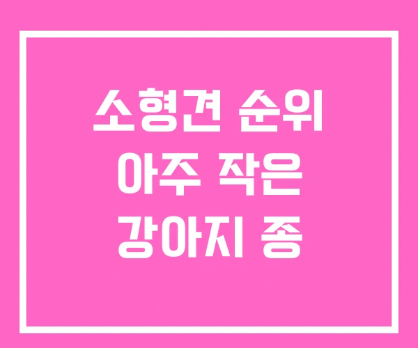 소형견 순위 아주 작은 강아지 종