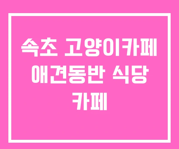 속초 고양이카페 애견동반 식당 카페 속초 고양이카페 애견동반 식당 카페