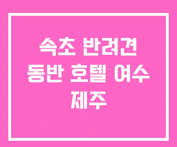 속초 반려견 동반 호텔 여수 제주