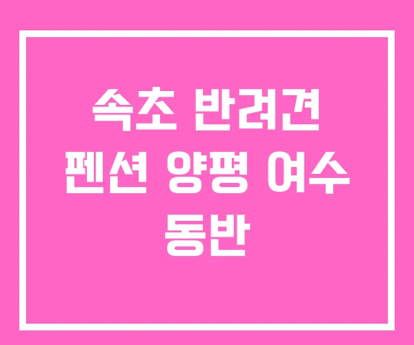 속초 반려견 펜션 양평 여수 동반 속초 반려견 펜션 양평 여수 동반