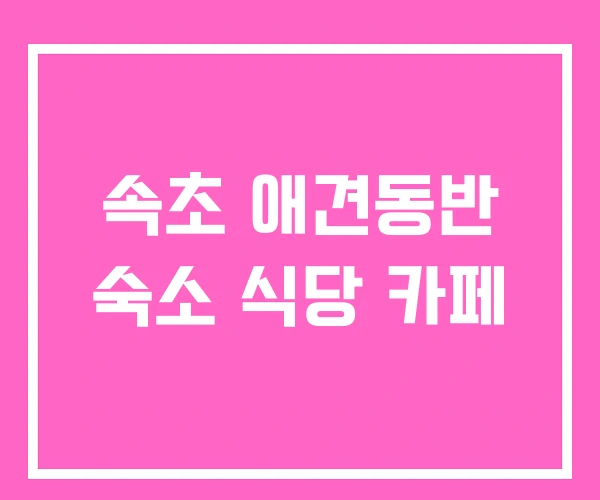 속초 애견동반 숙소 식당 카페 속초 애견동반 숙소 식당 카페