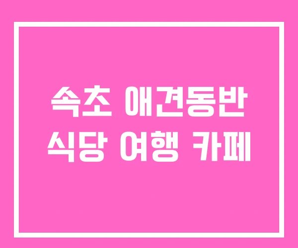 속초 애견동반 식당 여행 카페 속초 애견동반 식당 여행 카페