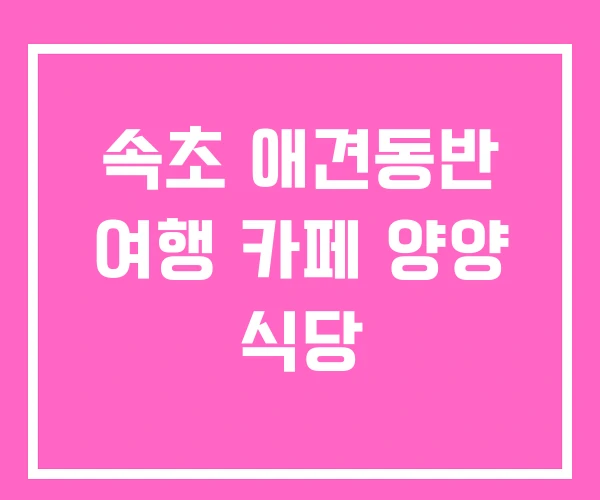 속초 애견동반 여행 카페 양양 식당