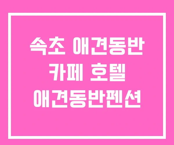 속초 애견동반 카페 호텔 애견동반펜션