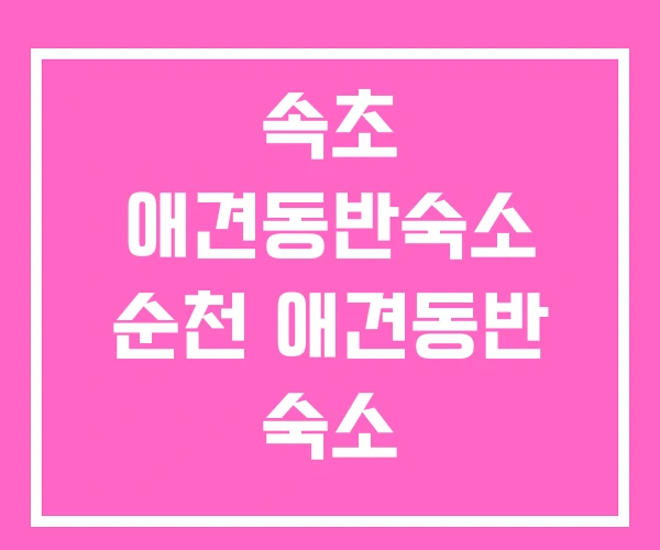 속초 애견동반숙소 순천 애견동반 숙소 속초 애견동반숙소 순천 애견동반 숙소