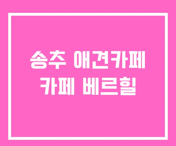 송추 애견카페 카페 베르힐