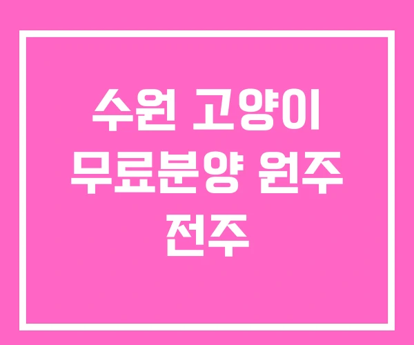 수원 고양이 무료분양 원주 전주 수원 고양이 무료분양 원주 전주
