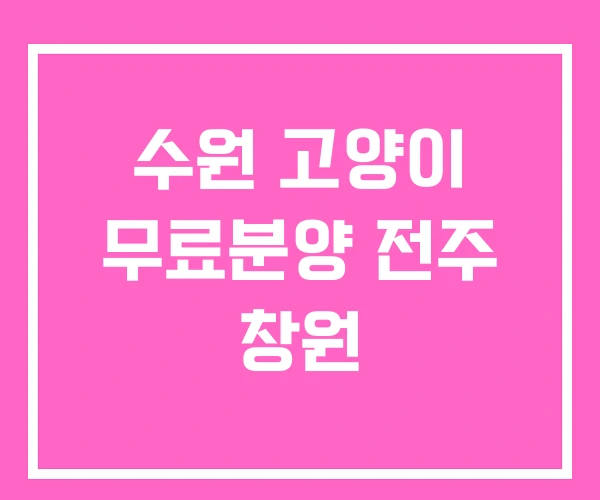 수원 고양이 무료분양 전주 창원 수원 고양이 무료분양 전주 창원