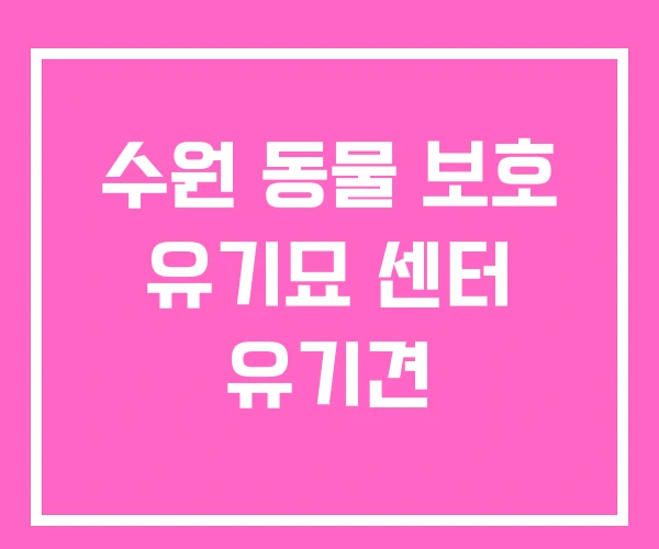 수원 동물 보호 유기묘 센터 유기견