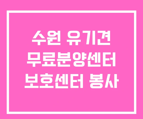 수원 유기견 무료분양센터 보호센터 봉사 수원 유기견 무료분양센터 보호센터 봉사