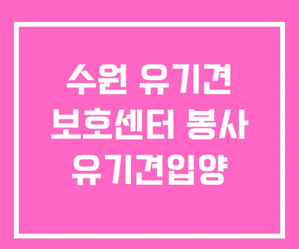 수원 유기견 보호센터 봉사 유기견입양