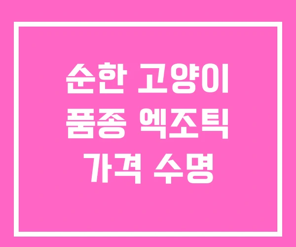 순한 고양이 품종 엑조틱 가격 수명 순한 고양이 품종 엑조틱 가격 수명