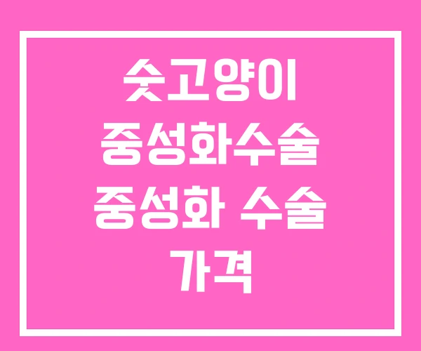 숫고양이 중성화수술 중성화 수술 가격 숫고양이 중성화수술 중성화 수술 가격