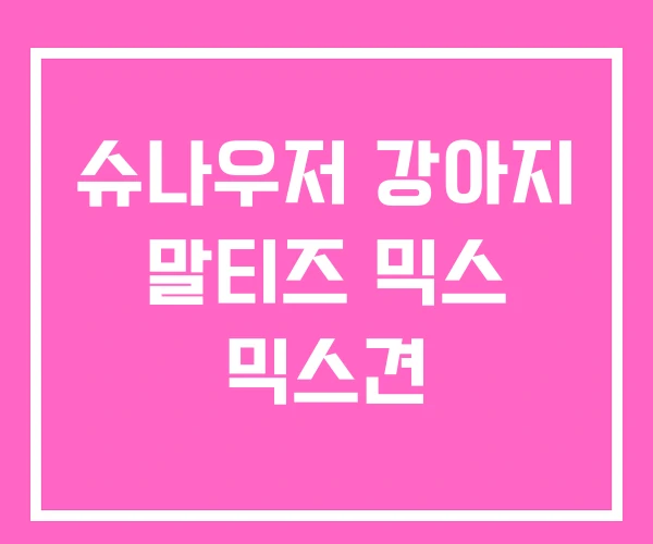 슈나우저 강아지 말티즈 믹스 믹스견 슈나우저 강아지 말티즈 믹스 믹스견
