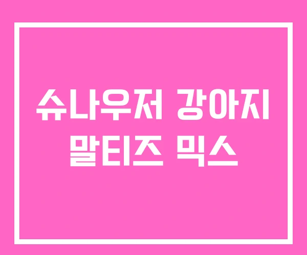 슈나우저 강아지 말티즈 믹스