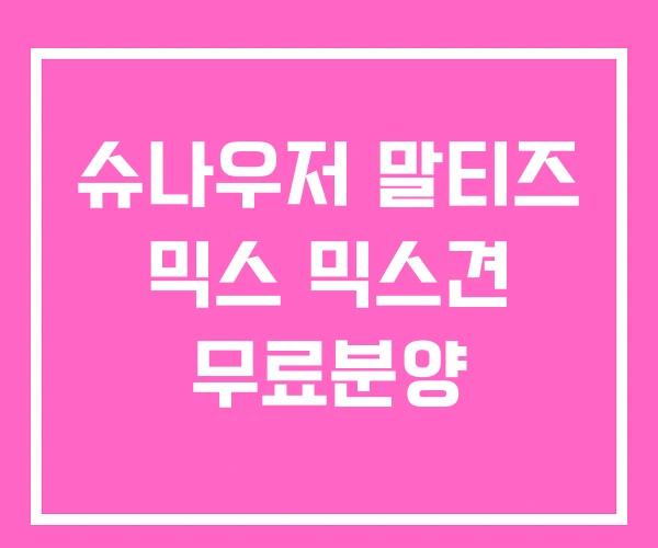 슈나우저 말티즈 믹스 믹스견 무료분양 슈나우저 말티즈 믹스 믹스견 무료분양