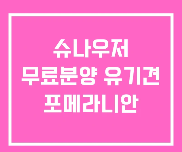 슈나우저 무료분양 유기견 포메라니안