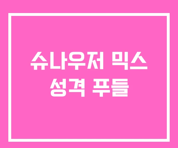 슈나우저 믹스 성격 푸들