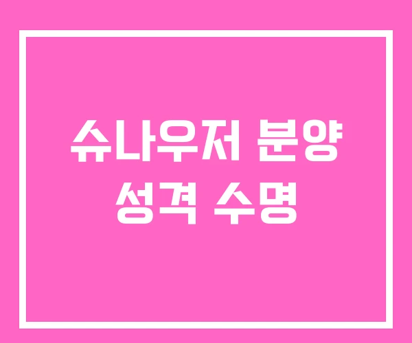 슈나우저 분양 성격 수명
