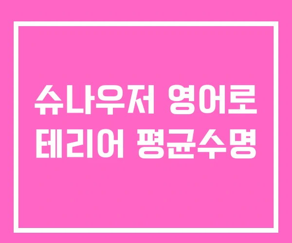 슈나우저 영어로 테리어 평균수명 슈나우저 영어로 테리어 평균수명