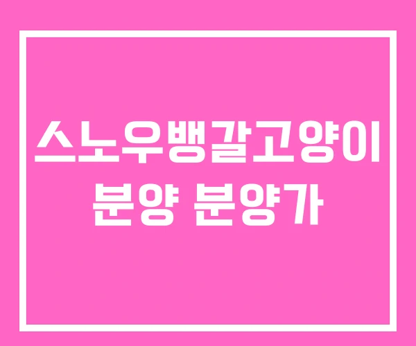 스노우뱅갈고양이 분양 분양가 스노우뱅갈고양이 분양 분양가