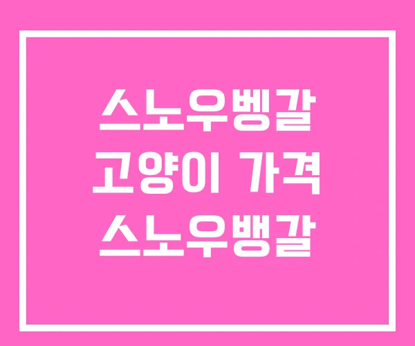 스노우벵갈 고양이 가격 스노우뱅갈