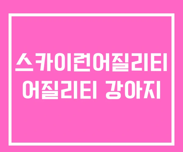 스카이런어질리티 어질리티 강아지