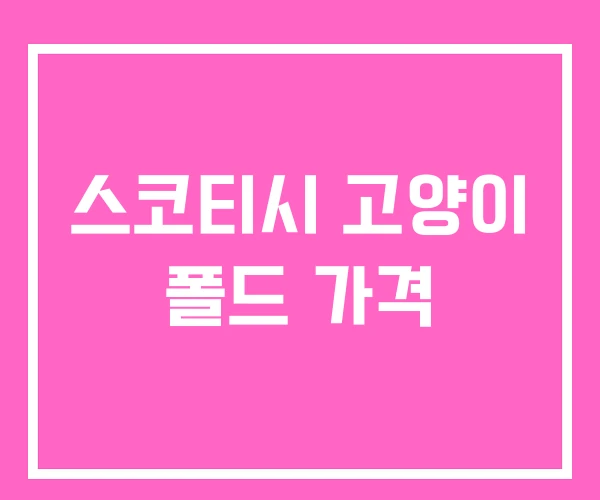 스코티시 고양이 폴드 가격 스코티시 고양이 폴드 가격