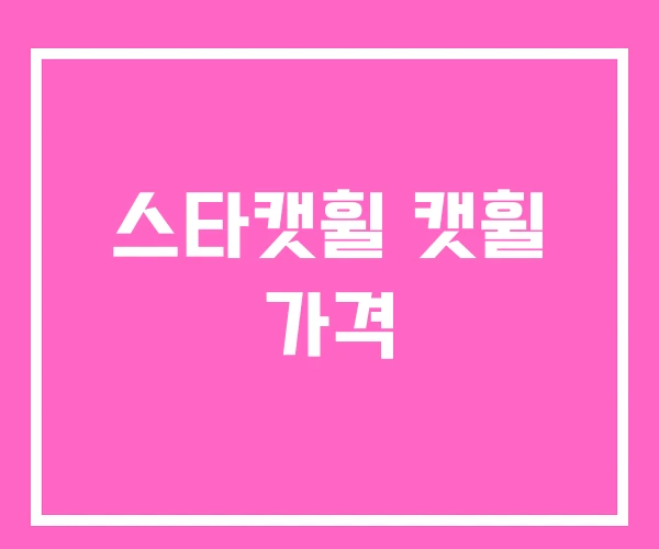 스타캣휠 캣휠 가격