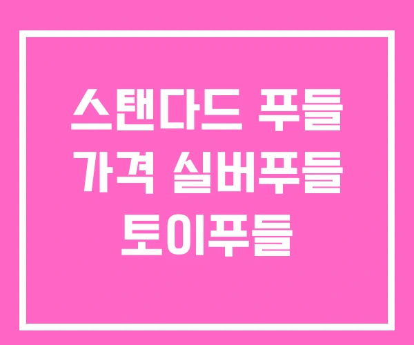 스탠다드 푸들 가격 실버푸들 토이푸들 스탠다드 푸들 가격 실버푸들 토이푸들