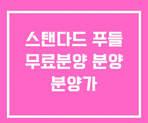 스탠다드 푸들 무료분양 분양 분양가