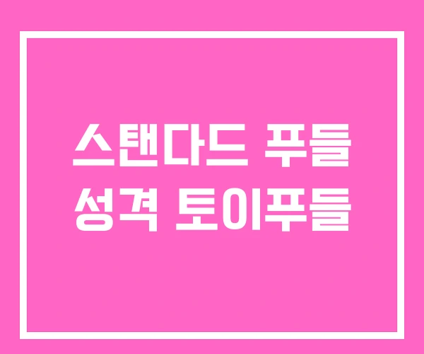 스탠다드 푸들 성격 토이푸들